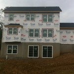 Step Seven, Windows and Doors